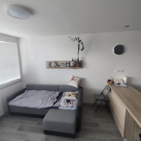 Apartament Byt Sezimovo Usti Tabor Zewnętrze zdjęcie